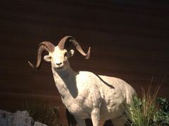 -贝林大翅鲸简餐厅(国家海洋博物馆店)