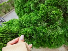 -崇圣寺三塔文化旅游区