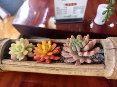 -苗湘食府(十年店)
