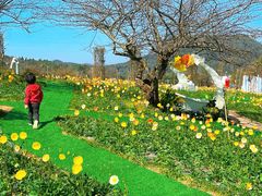 -名花谷生态庄园