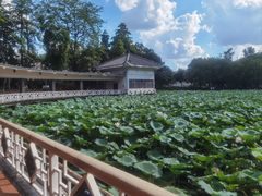 -荔湾湖公园