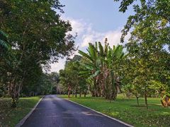 -中国科学院西双版纳热带植物园