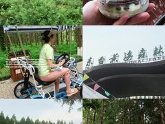 -黄海国家森林公园