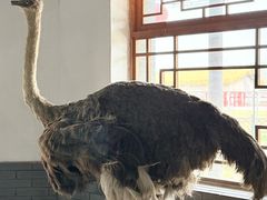 -河北村民俗体验园