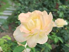 -共青国家森林公园-售票处