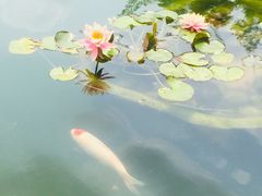 -晋江五店市传统文化旅游区