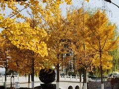 -北京市车辆管理所京海分所