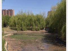 -东坝千亩湖公园