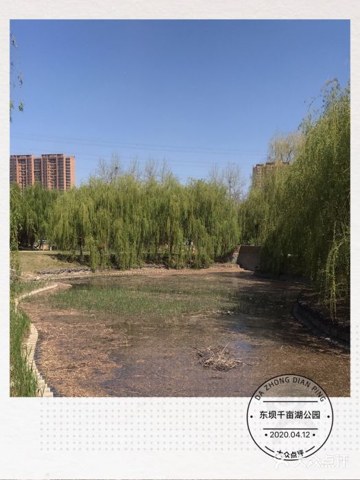 东坝千亩湖公园图片