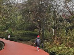 -敬亭山风景名胜区