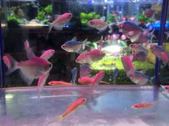 -三旗百汇商品城