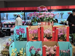 -盒马鲜生(枣园路店)