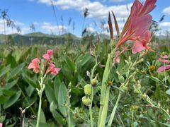 -东钱湖旅游度假区