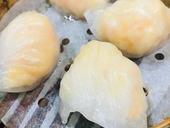 -添好运点心专门店(北角店)
