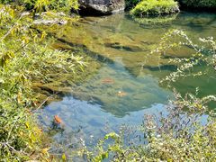 -马峦山郊野公园