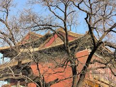 -故宫博物院(故宫)