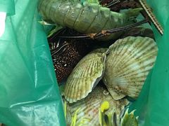 -班赞海鲜市场