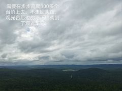 -汤旺河林海奇石景区