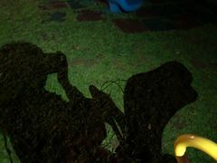 -西双版纳洲际度假酒店-海鲜傣味烧烤·侬香全日制餐厅