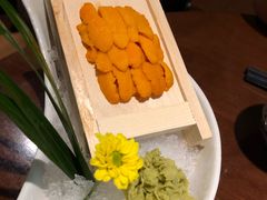 海胆-熊藏居酒屋(kkone店)