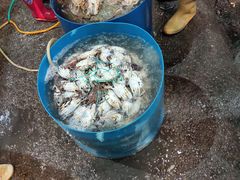 -盛华世家商业广场农贸水产综合批发市场