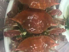 -阿杰臻选海鲜饭店(普陀山店)