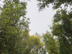 -塘沽森林公园
