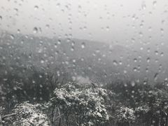-紫金山索道-售票处