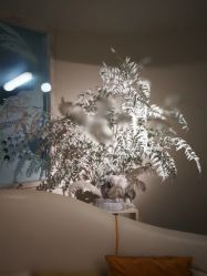 -今日陶艺(富力广场店)