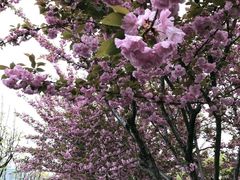 -西安大唐西市博物馆