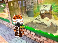 -上海大自然野生昆虫馆(东方明珠·爬宠昆虫探索中心)