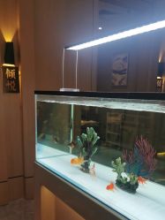 -香港倾城国际·美容美体中心