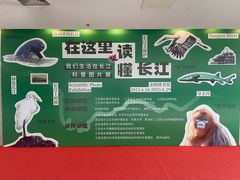 -金陵图书馆