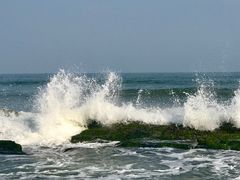 -盐洲岛
