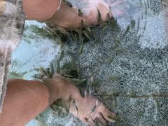 -国御温泉度假小镇