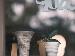 -溯洄咖啡VORTEX COFFEE