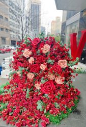 -上海玫瑰医疗美容医院