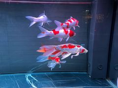 -福季酒店(怡园绿景店)