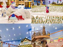 -广州热雪奇迹