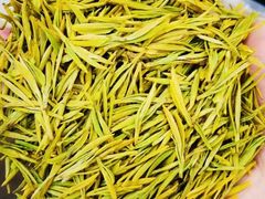-大唐贡茶院