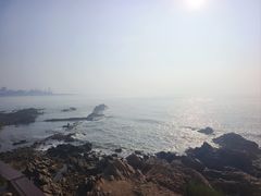 -小麦岛公园