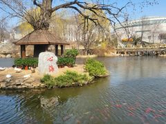 -武汉大学-樱园