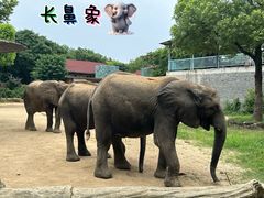 -常州淹城野生动物世界
