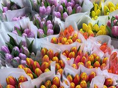 -循礼门鲜花花市(武汉循礼门店)