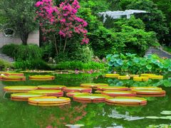 -国家植物园南园