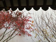 -秋霞圃