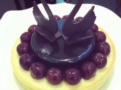 -BLACKSWAN黑天鹅(环球店)