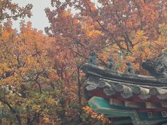 -红螺寺