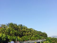 -金鸡山公园