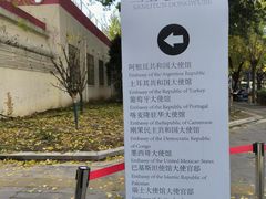 -三里屯东五街银杏大道